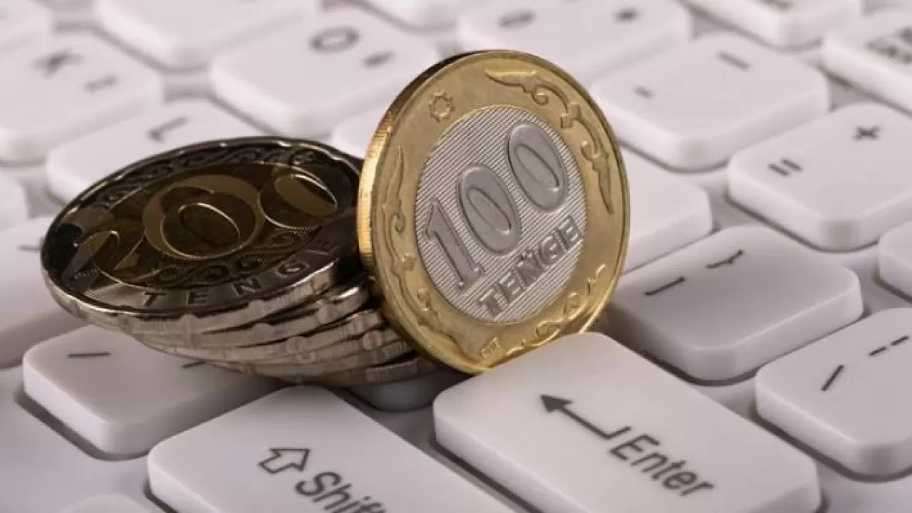 Кейбір мақсатты төлемдер мемлекеттік бюджетке жетпей жатыр – сенатор