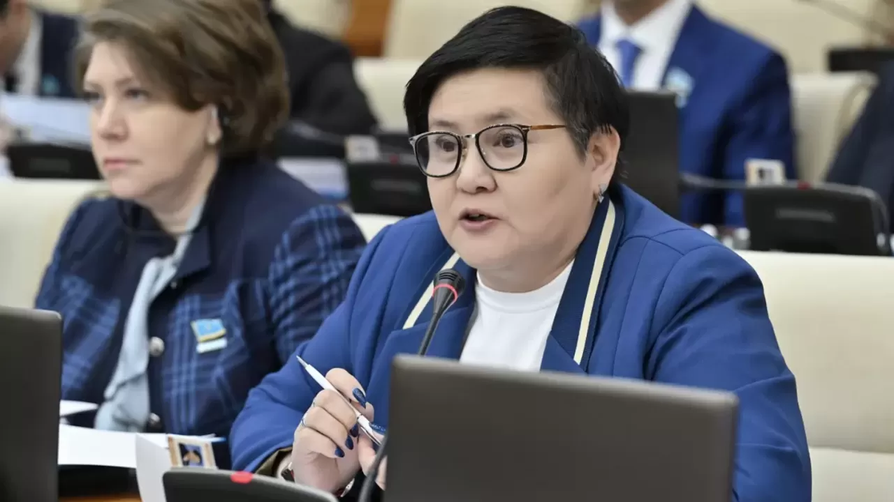 Депутат әйелдердің жұмыс аптасын қысқартуды ұсынды