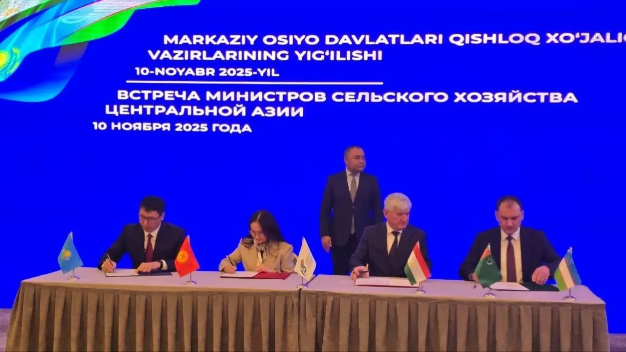 План продбезопасности до 2030 года приняли страны Центральной Азии 