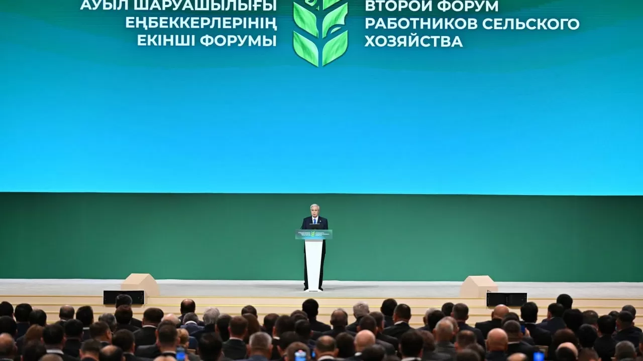 Қасым-Жомарт Тоқаев: "Салаға шетел инвесторларын тарту жұмысын тездету қажет"