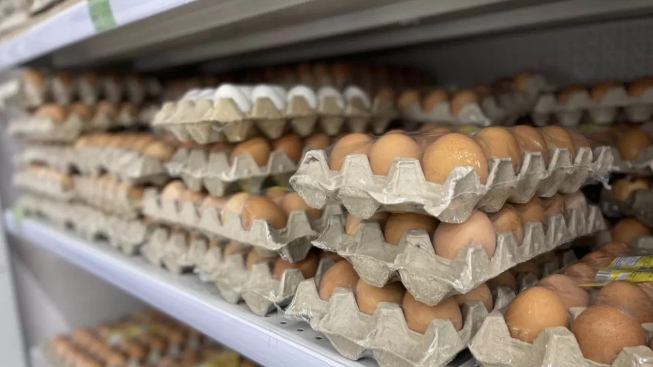 Ресейден тауық жұмыртқаларын заңсыз әкелмек болғандар анықталды