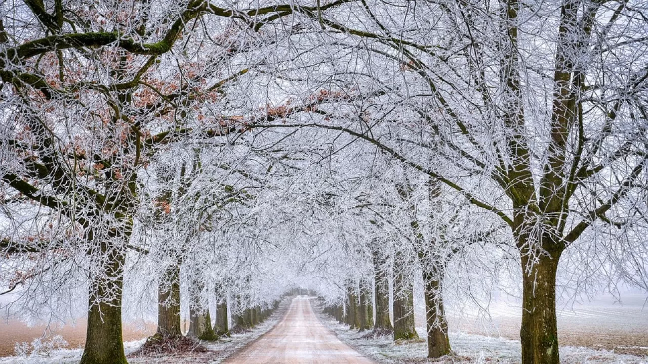 Движение по республиканским дорогам возобновлено 