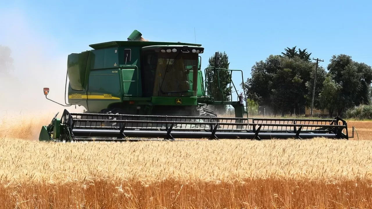 Потепление сократит урожай и в богатых странах 