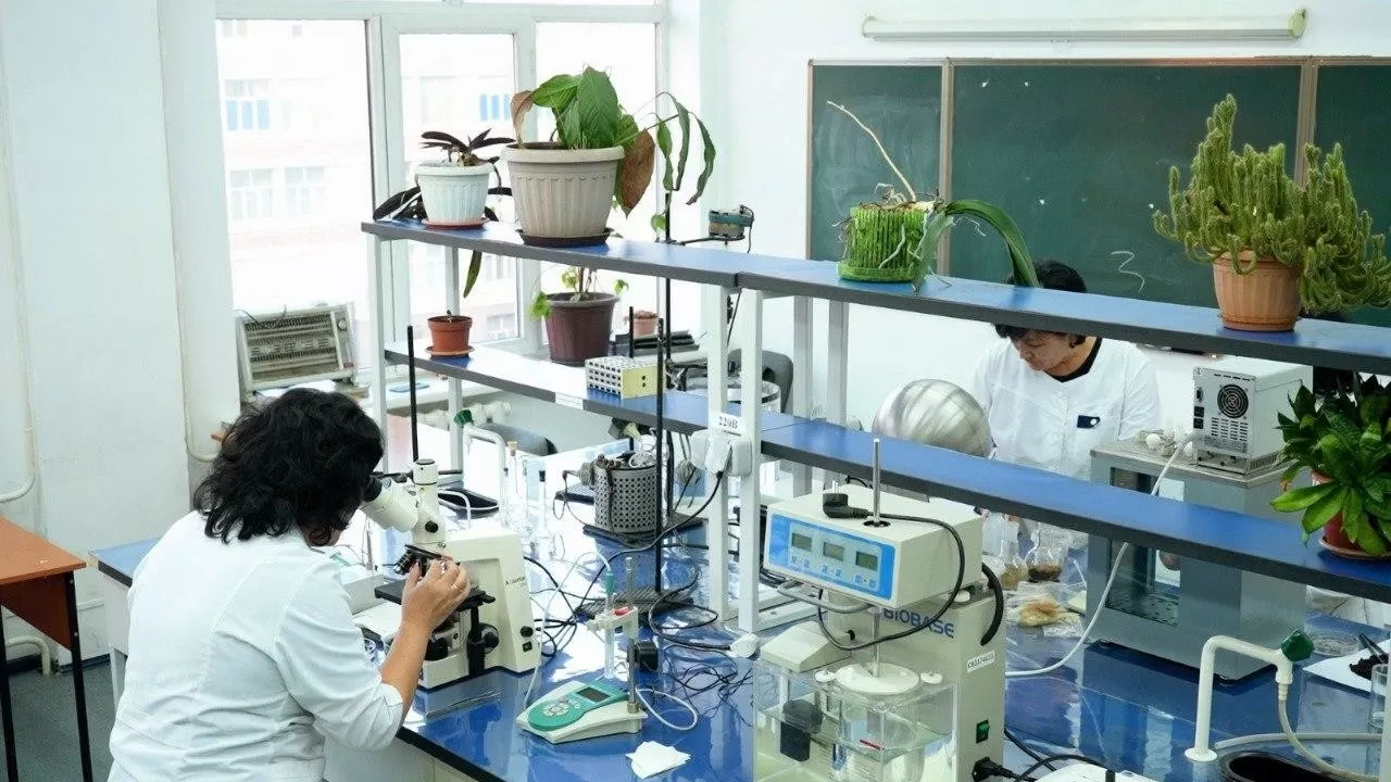 Казахстанские ученые разработали способ защиты семян от засухи