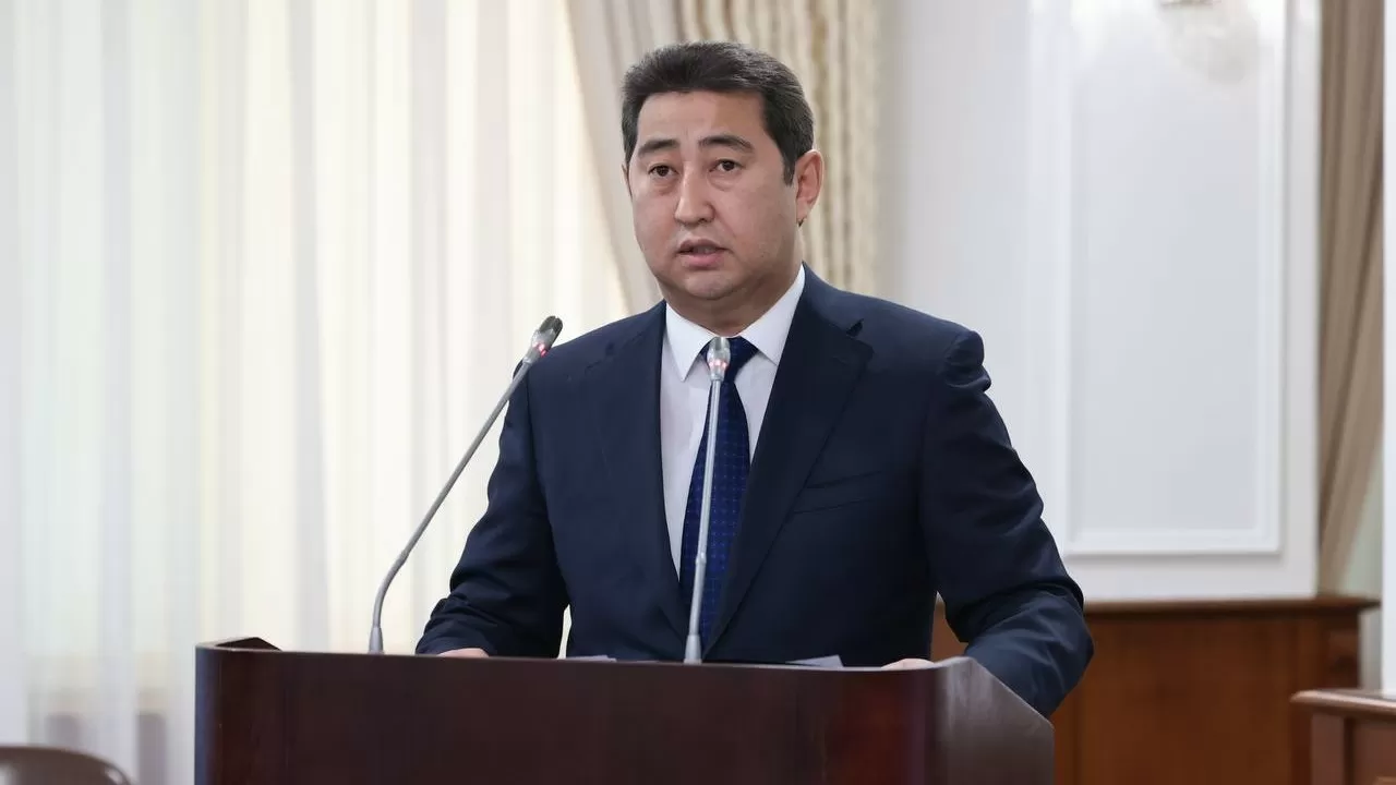 Министр Қытаймен шекарада отандық астық вагондарының кептелу себебін түсіндірді