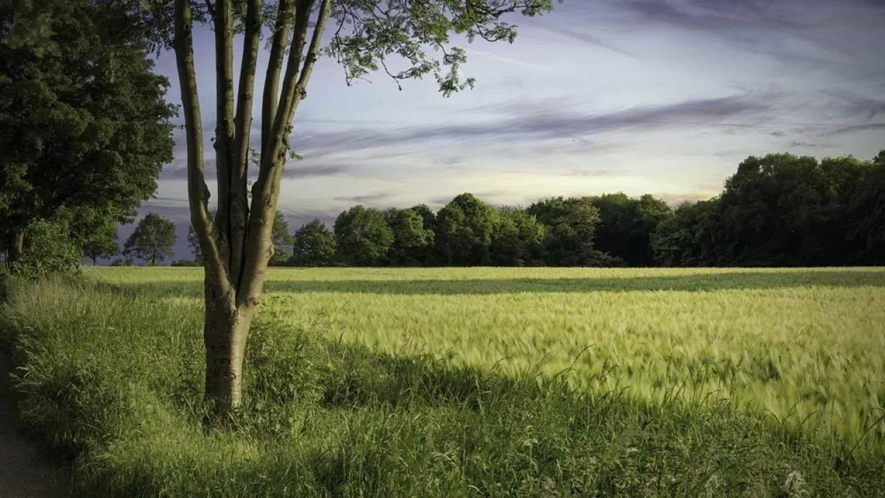 Названы страны, где люди сильнее всего связаны с природой