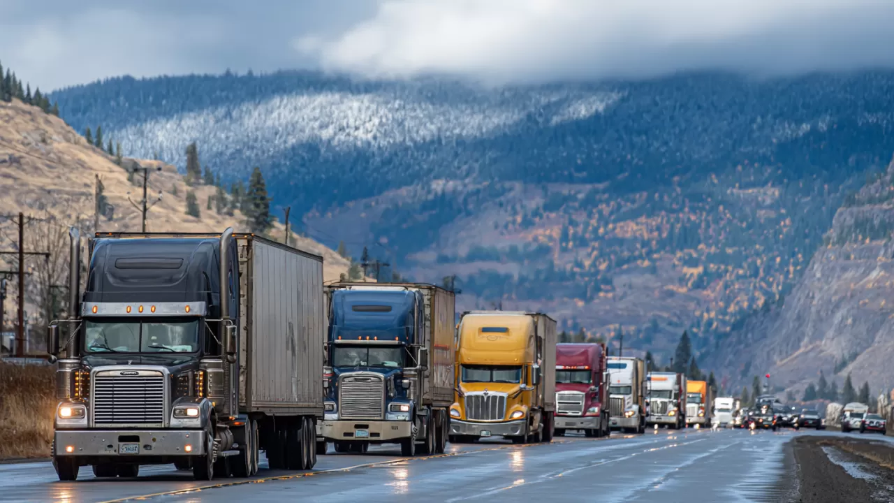 Экспортное зерно в ожидании: что стало причиной заторов на границе