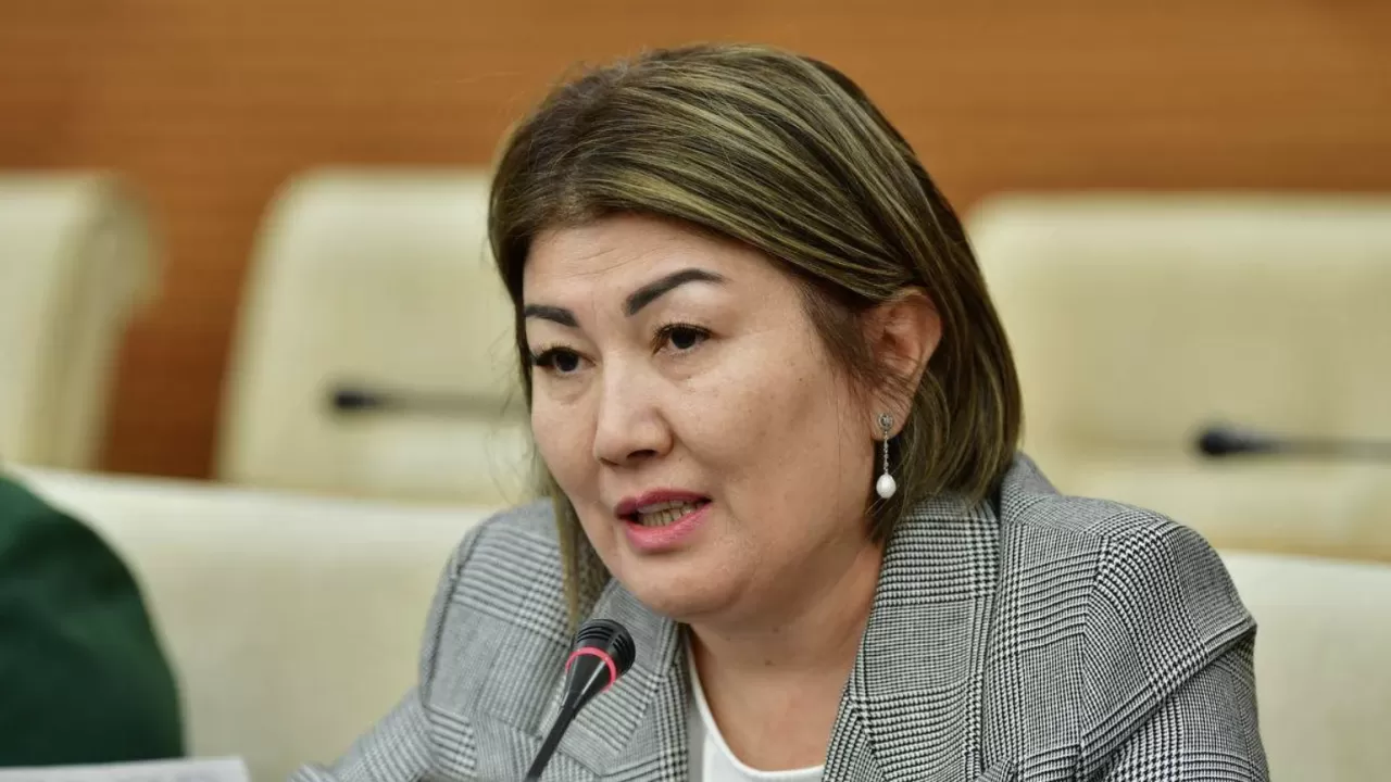 "Қоқысқа батып жатырмыз": Мәжіліс депутаты мәселе көтерді