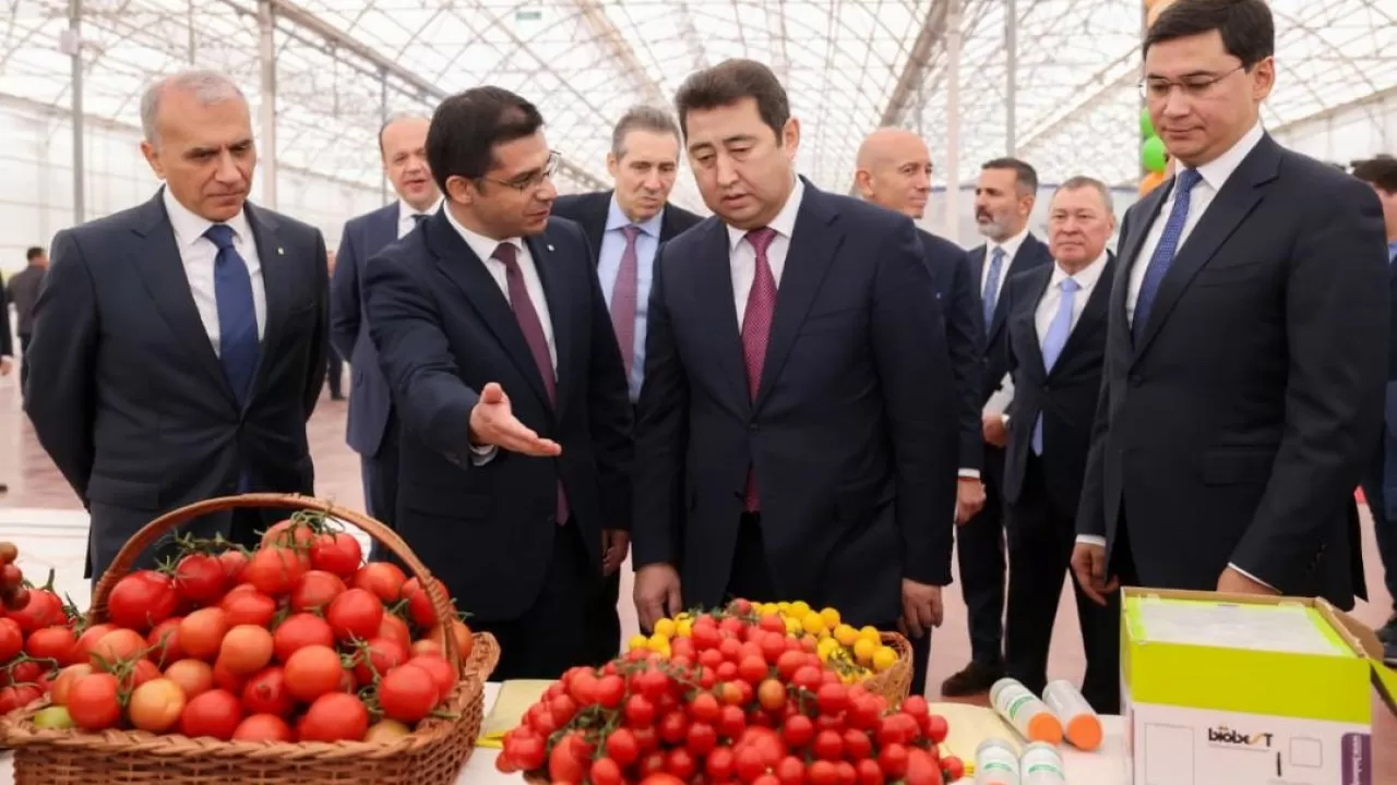 Шымкентте қызанақ өсіретін еліміздегі ең ірі жылыжай ашылды   