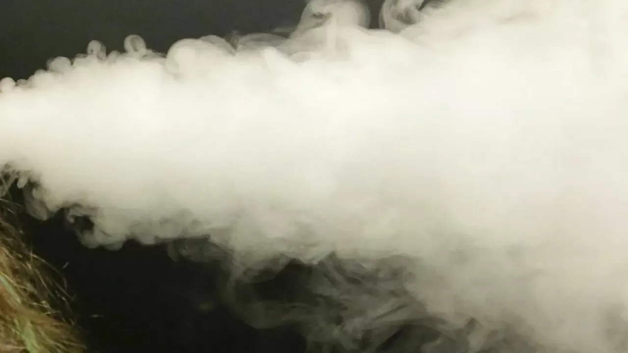 Поставки запрещенного товара из России наладил онлайн-торговец из РК