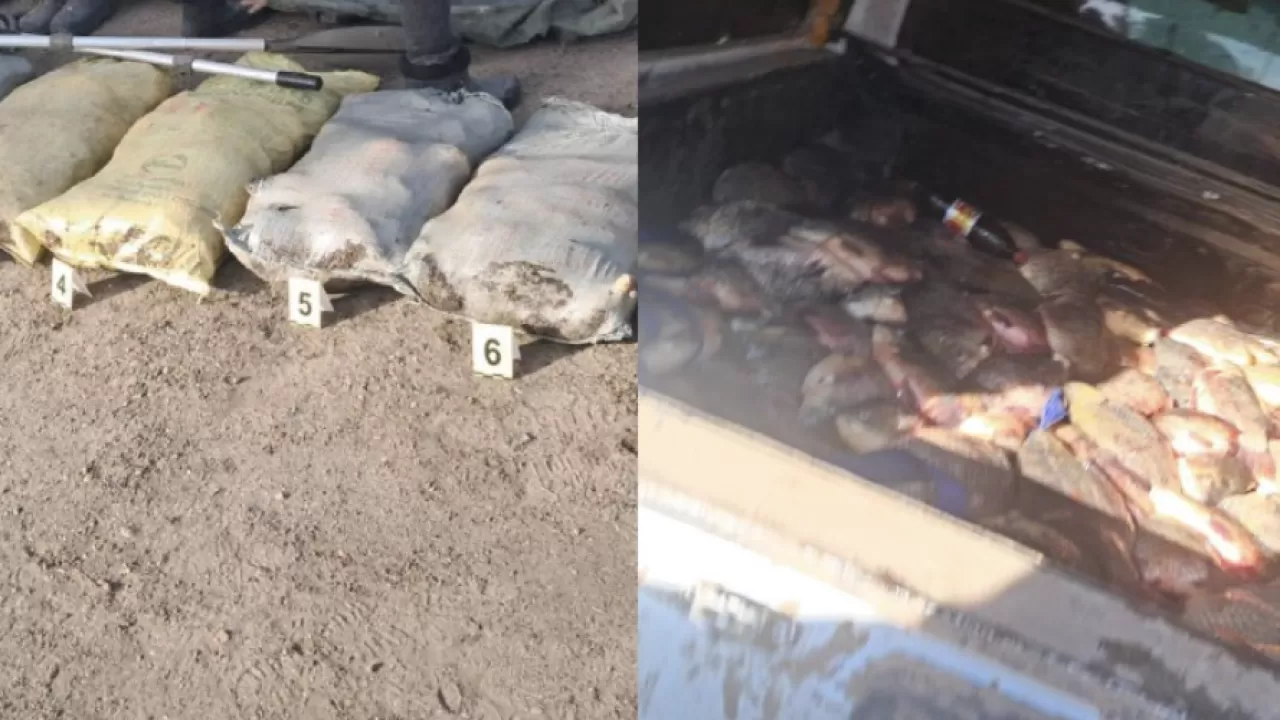 Павлодар облысында браконьерден 300 келіге жуық балық тәркіленді