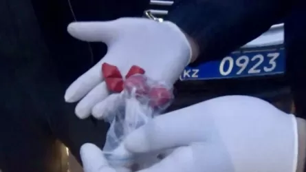 Павлодарда магнит арқылы есірткі жасырып жүрген күдікті ұсталды 