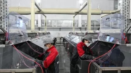 Жыл басынан бері Жетісу облысына 330,3 млрд теңге инвестиция тартылды