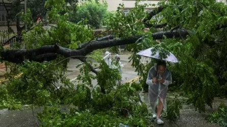 Тайфун "Кальмаэги" сильно ударил по Вьетнаму: есть погибшие и пострадавшие 