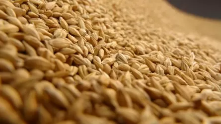 Работница утонула в зерне на элеваторе в Казахстане 