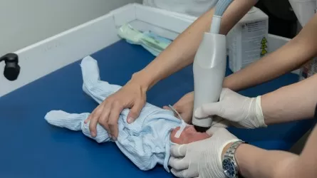 Ең кішкентай және ... ең күшті