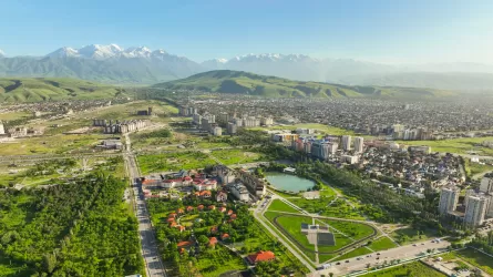 Тапшылыққа тап болған көрші барлық майнинг-фермаларды ағытып тастады