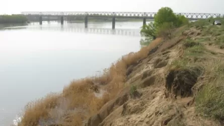 Станет ли уникальный "Гусиный перелет" национальным достоянием РК 