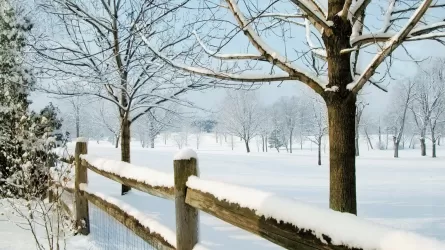 Қар, тұман және көктайғақ: 15 өңірде дауылды ескерту жарияланды