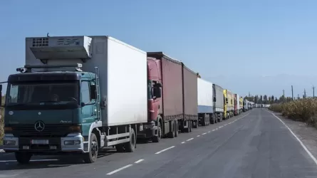 Алматыда көліктерді заңсыз тіркеу ісі бойынша 3 адам сотталды  