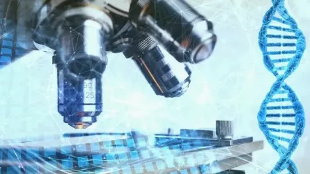 Прорыв в лечении болезни Альцгеймера: найден способ восстановления памяти