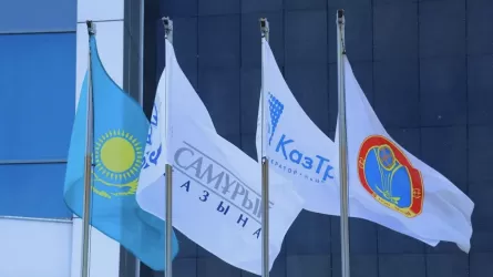 Үкімет стратегиялық маңыздағы компаниялардың тізімін өзгертті