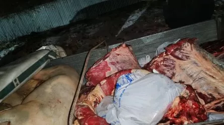 Атбасарда етті құжатсыз тасымалдаған жүргізуші ұсталды