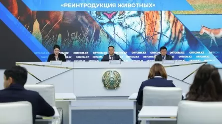 2026 жылы Қазақстанға Ресейден төрт Амур жолбарысы жеткізіледі  