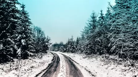 Информационные табло установят в горах ВКО для туристов 