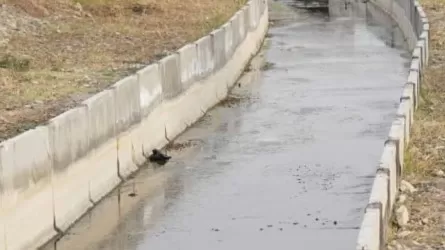 Ирригациялық жүйелерді күрделі жөндеу: Жамбыл облысында үш жоба жүзеге асырылып жатыр