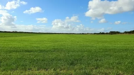 Фермеры самовольно занижали налоги в Костанайской области