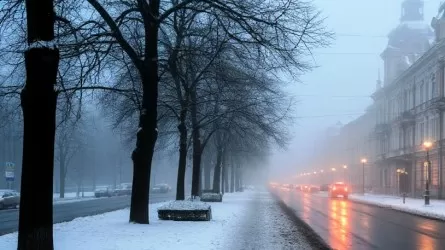 Густой туман распространился по регионам Казахстана 