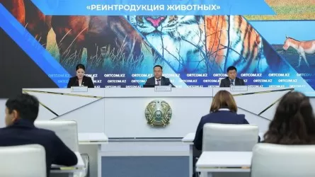 Казахстан возвращает редких животных в природу 