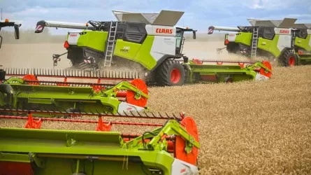 Қазақстан көршілес елдерге астық экспортын арттыра түсті