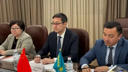 Китайские медвузы могут открыть филиалы в РК 