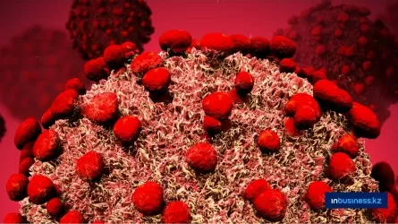 В соседней стране нашли более 60 ранее неизвестных вирусов 