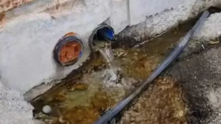 Ақтаудағы қонақүйдің бірі теңізге лас суын ағызған 