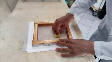 В Казахстане возрождают старинное искусство изготовления бумаги 