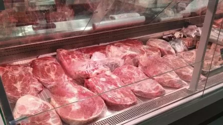 Равнодушием акиматов к простаивающим мясокомбинатам возмущены депутаты РК