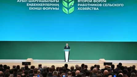 Қасым-Жомарт Тоқаев: «Салаға шетел инвесторларын тарту жұмысын тездету қажет»