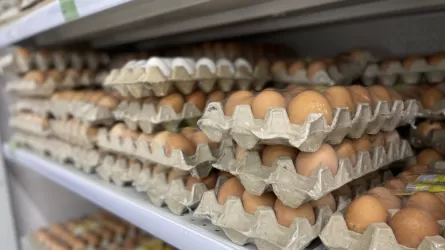 Ресейден тауық жұмыртқаларын заңсыз әкелмек болғандар анықталды
