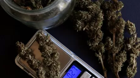 Ақмола облысында жерасты есірткі зертханасын ұйымдастырғандар сотталды