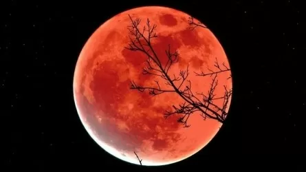 Күн бетінде ең жоғары қарқындылықтағы жарқыл тіркелді 