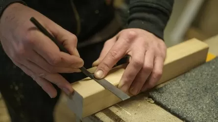 Ученые создали экологичный способ обработки дерева 