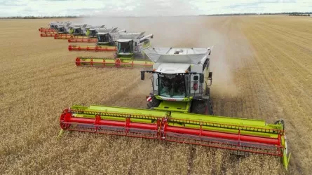 Президент: «Соңғы 10 жылда ауыл шаруашылығының жалпы өнімі 2,5 еседен астам өсті»