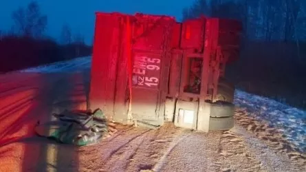 Перевернувшийся прицеп с ячменем перекрыл дорогу в СКО 