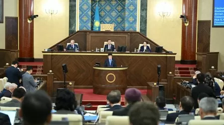 Мәжіліс Цифрлық кодекс жобасын бірінші оқылымда мақұлдады