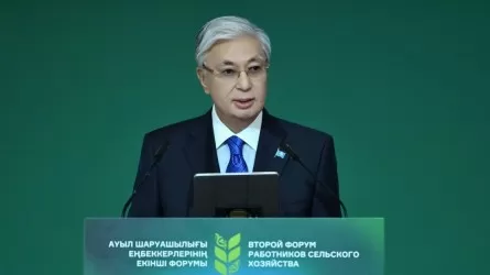 Президент: «Жайылымдық жерлер ауыл тұрғындарына және нақты жоспары бар инвесторларға берілуге тиіс»
