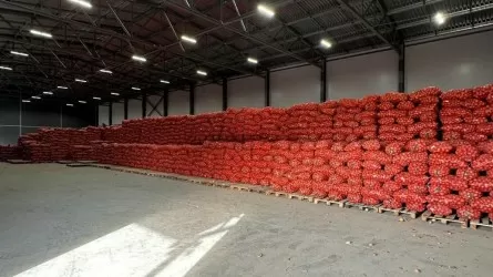 Ақтөбе облысының азық-түлік тұрақтандыру қорына 4,5 миллиард теңге бөлінді