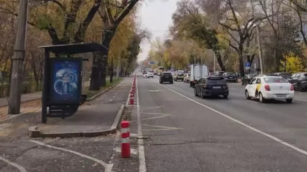 Болларды вдоль велополос демонтируют в Алматы